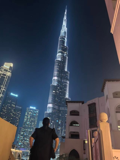 深耕赋未来:中平科技编年史';在中东的工业之旅6