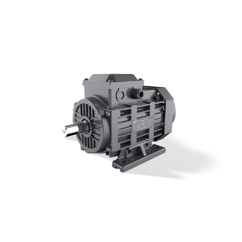 格士(葛氏)FTYP 起动永磁电机 0.55-15kW IE4 直接起动 IP55